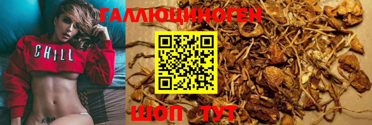 Псилоцибиновые грибы мухоморы Серпухов